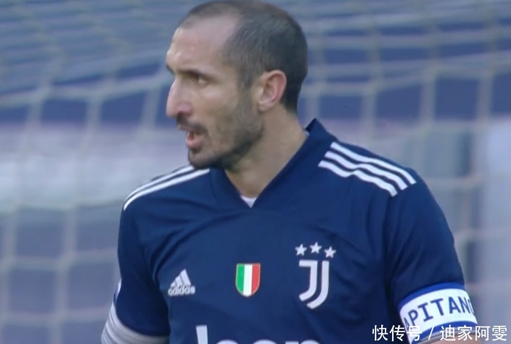 本文将深入 本文将深入